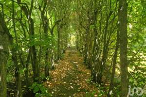 Property thumbnail 13