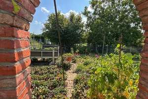 Charmantes kernsaniertes Bauernhaus mit Fernblick – Die vollständige Adresse der Immobilie erhältst du vom Anbieter., 66780 Rehlingen-Siersburg – Vorschaubild 6
