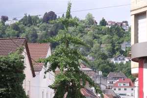 Zentral im EG wartet eine vermietete, möblierte Wohnung auf SIE! – Stuttgart – Vorschaubild 20
