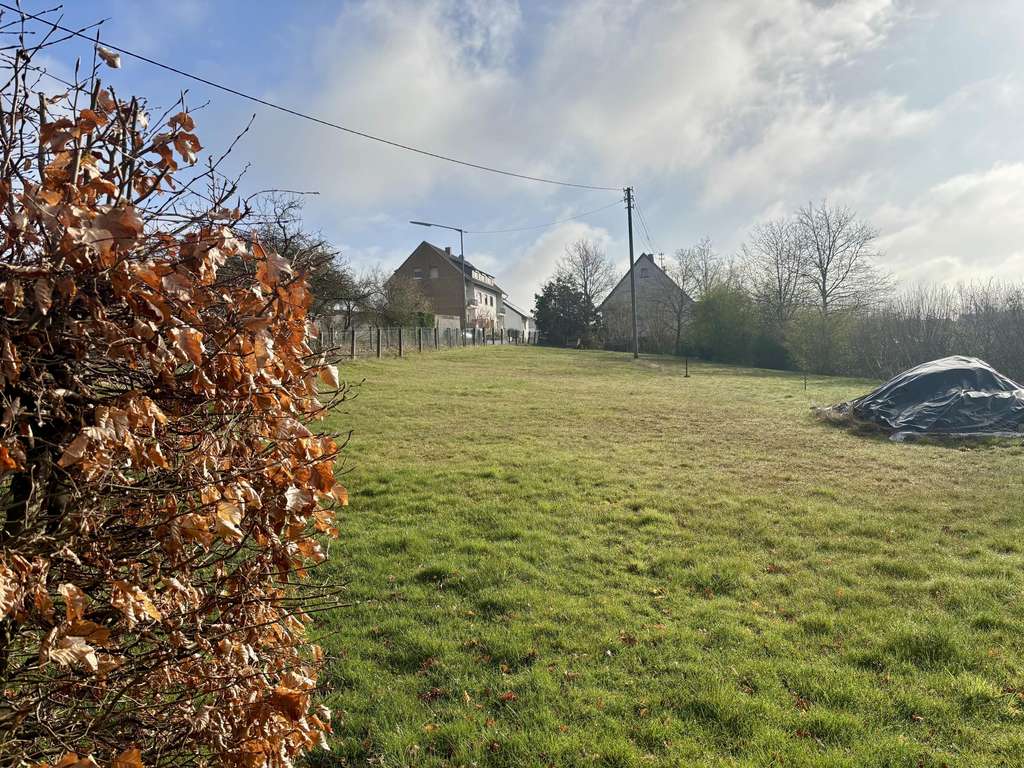 Immobilie in Birken-Honigsessen - Kompaktes Einfamilienhaus mit sep. Garagengebäude sowie großzügigem Grundstück - Bild 3