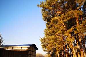 Stilvoll Leben umgeben von Wald, Feld und Wasser-ein einzigartiges Haus am Voßkanal – Oberhavel (Kreis) – Vorschaubild 10