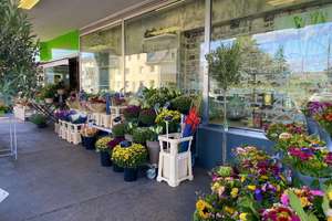 Property thumbnail 32