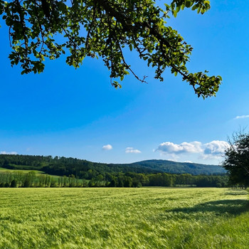 Drei Baukörper auf 100.000 m² Wald und Wiese - ein Paradies für Sie und Ihre Tiere!