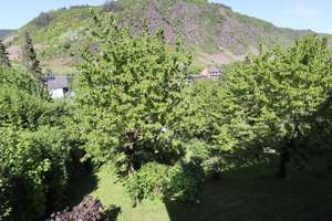 Großzügiges Einfamilienwohnhaus mit Moselblick in ruhiger Wohnlage – Die vollständige Adresse der Immobilie erhältst du vom Anbieter., 56812 Cochem – Vorschaubild 32