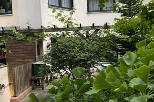 Kesselstadt   --   Erbpachtgrundstück   --   Garage und Stellplatz – Main-Kinzig-Kreis – Vorschaubild 13
