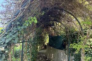 Killesberg-Exklusive Wohnung in bester Höhenlage mit  Blick über Stuttgart – Am Tazzelwurm 6d, 70192 Am Bismarckturm, Stuttgart – Vorschaubild 32