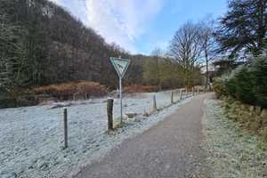 Naturverbundenes Idyll – Einzugsfertiges, teils ökologisch saniertes 1-2 Familienhaus – Solingen – Vorschaubild 23