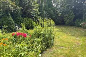 Viel Platz für neue Ideen und individuelle Wohnträume: Ein Haus mit Charakter und großem Garten! – Die vollständige Adresse der Immobilie erhältst du vom Anbieter., 22145 Rahlstedt, Hamburg – Vorschaubild 4