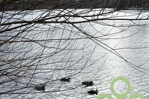 ***Supersüßes 1 Zimmer Apartment mit eigenem Garten, Tiefgarage, Keller...*** – Am Teufelsbruch 7, 13587 Hakenfelde, Berlin – Vorschaubild 15