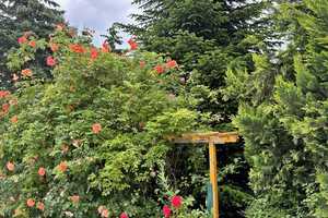!!! Freistehendes EFH mit viel Wohnfläche u. Grundstück + Outdoorpool, sucht neuen Besitzer !!! – Saalekreis – Vorschaubild 57