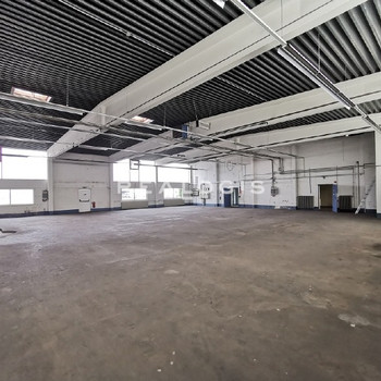 ca. 1.600 m² große Hallen- und Showroomfläche mit Büro