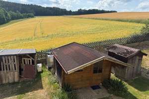 Dachgeschosswohnung mit Fernblick und absolut ruhiger Wohnlage von Neunburg vorm Wald zu vermieten – Die vollständige Adresse der Immobilie erhältst du vom Anbieter., 92431 Neunburg vorm Wald – Vorschaubild 4