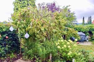 Direkt v. Eigentümer: Gemütliches Reihenendhaus mit Garten in bester Waldrandlage von Trautheim – Die vollständige Adresse der Immobilie erhältst du vom Anbieter., 64367 Mühltal – Vorschaubild 7