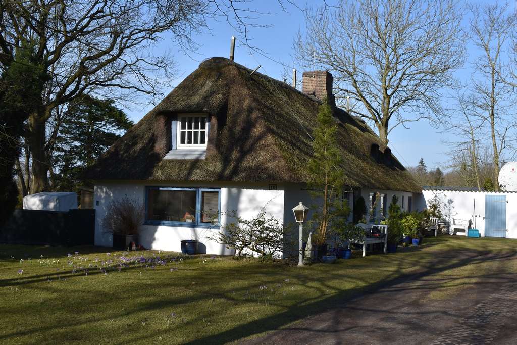 Immobilie in Bordelum - Reetdachhaus mit Baugrundstück in Nordseenähe - Bild 4