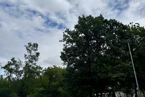 Kraftort mit Weitblick, Alleinlage mit Talblick, Pferdeställe und Reitplatz – Rems-Murr-Kreis – Vorschaubild 28
