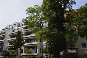 Property thumbnail 22