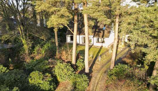 Bild von Erbpacht: Natur pur