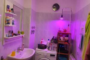 Helle 2-Zimmer-HAUSWART-Wohnung im Hochparterre Gartenhaus in Berlin Oberschöneweide – Die vollständige Adresse der Immobilie erhältst du vom Anbieter., 12459 Oberschöneweide, Berlin – Vorschaubild 6