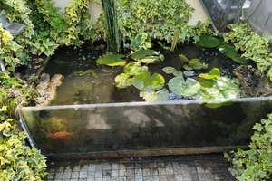 Property thumbnail 35