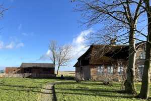 Friesischer Charme trifft modernes Wohnen – Reetdachhaus in Traumlage an der Nordsee  – Nordfriesland (Kreis) – Vorschaubild 3