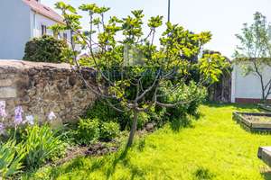 Exklusives Einfamilienhaus mit großzügigem Garten & Premium-Ausstattung (EEK A+) in TOPLAGE! – Die vollständige Adresse der Immobilie erhältst du vom Anbieter., 1445 Radebeul – Vorschaubild 13