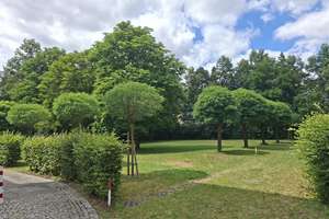 Rohdiamant mit Charakter – 93057 Reinhausen, Regensburg – Vorschaubild 11