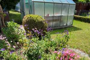 Solides Wohnhaus Bj.67 *5 Zimmer*Vollkeller*Garage – Herzogtum Lauenburg (Kreis) – Vorschaubild 20