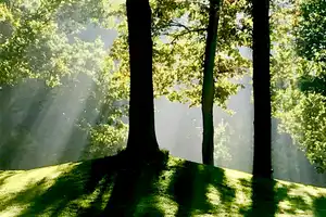 Lichtdurchflutetes Anwesen mit Waldgrundstück am See – Steinfurt (Kreis) – Vorschaubild 16