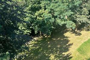 Kernsanierte 4-Raum-Wohnung im wunderschönen Limsdorf, Storkow (Mark) – Springseeweg 14, 15859 Storkow (Mark) – Vorschaubild 2