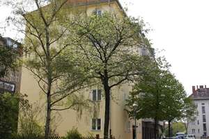 Familienwohnung - ohne Aufzug – Dubliner Straße 4, 13349 Wedding, Berlin – Vorschaubild 2