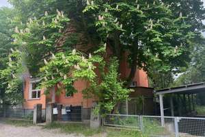 EIN HAUS FÜR DIE GANZE FAMILIE // FÜR SELBSTBEZIEHER ODER KAPITALANLEGER // PROVISIONSFREI – Adolfstraße xx, 12621 Kaulsdorf, Berlin – Vorschaubild 17