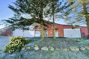 Resthof am Ortsrand von Hankensbüttel – Weitblick, Ruhe und vielseitige Möglichkeiten! – Die vollständige Adresse der Immobilie erhältst du vom Anbieter., 29386 Hankensbüttel – Vorschaubild 6