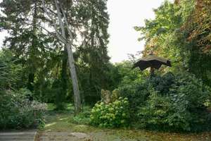 Historisches Anwesen mit Parkgarten: Repräsentatives Raumwunder in Oettingen – 86732 Oettingen in Bayern – Vorschaubild 24