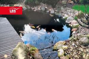 Wohnen mit Stil und Substanz – Exklusives Einfamilienhaus mit Koi-Teich! – Die vollständige Adresse der Immobilie erhältst du vom Anbieter., 40593 Urdenbach, Düsseldorf – Vorschaubild 15