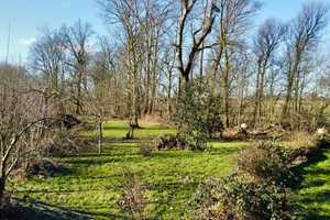 Landhaus mit Einliegerwohnung auf großem Grundstück – Stilvoll saniert – Nordfriesland (Kreis) – Vorschaubild 47