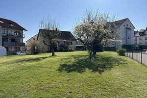 Großes Grundstück mit älterem Einfamilienhaus (Fertighaus)  – Lörrach (Kreis) – Vorschaubild 4