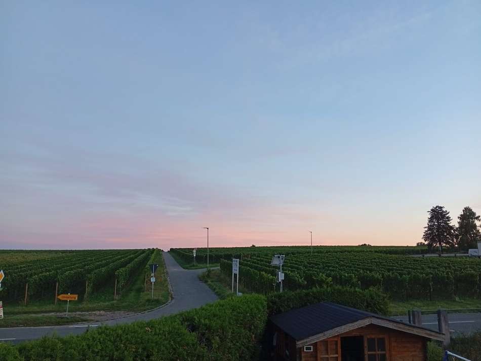 Ausblick
