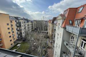Elbwiesen vor der Haustür – Neubertstraße 25, 1307 Johannstadt-Nord, Dresden – Vorschaubild 7