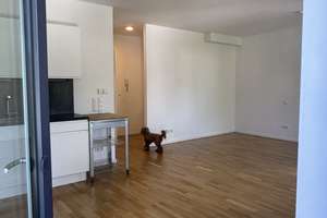 Geräumige, lichtdurchflutete 1-Zimmer-Wohnung in München Pasing – Heimburgstraße 3, 81243 Pasing, München – Vorschaubild 7