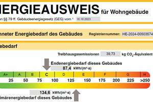 Modernisiertes, freistehendes EFH mit bis zu 3 ELW - Top Mehrgenerationenwohnen in Nieder-Eschbach – 60437 Nieder-Eschbach, Frankfurt am Main – Vorschaubild 30