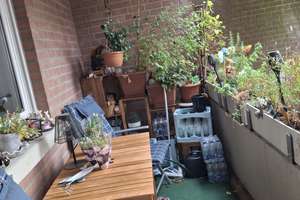 Seniorenwohnung mit Balkon Nähe Westpark NUR MIT WBS – Hammerweg 2, 52074 Westpark, Aachen – Vorschaubild 8
