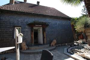 Mediterrane Palmen Insel in Crange – Dorstener Str. 440 a, 44653 Unser Fritz / Crange, Herne – Vorschaubild 12
