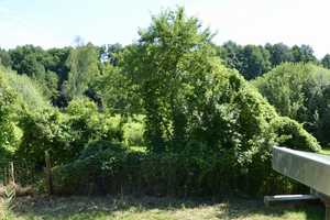 Natur & Baupotenzial vereint – zwei Grundstücke im Paket Drei-Seen-Stadt Lindow (Mark) – Granseer Straße 1, 16835 Ostprignitz-Ruppin (Kreis) – Vorschaubild 31