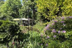 Energetisch saniertes EFH in Alt-Nettelnburg mit traumhaftem Gartenparadies – Die vollständige Adresse der Immobilie erhältst du vom Anbieter., 21035 Bergedorf (Ortsteil), Hamburg – Vorschaubild 15