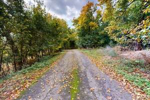 Einzigartiges Anwensen in Alleinlage mit Gästehaus I eigener Wald I Privatweg – Die vollständige Adresse der Immobilie erhältst du vom Anbieter., 6279 Farnstädt – Vorschaubild 3