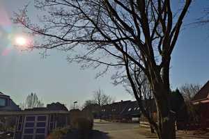 Charmantes Einfamilienhaus – Ostholstein (Kreis) – Vorschaubild 9