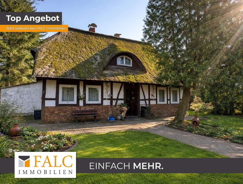 Immobilie in Holdorf - ***Landhaus mit großem Grundstück und viel Potenzial in ruhiger Feldrandlage*** - Bild 0