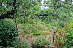 Historisches Schmuckstück in Alt-Feudenheim mit schönem Garten - 10004060 – Die vollständige Adresse der Immobilie erhältst du vom Anbieter., 68259 Feudenheim, Mannheim – Vorschaubild 37