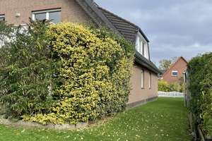 Einfamilienhaus mit Einliegerwohnung zu verkaufen – Die vollständige Adresse der Immobilie erhältst du vom Anbieter., 27804 Berne – Vorschaubild 24