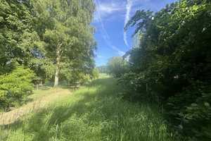 Großzügiges Einfamilienhaus am ruhig gelegenen Ortsrand von Wassenach – Ahrweiler (Kreis) – Vorschaubild 22